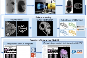 3D PDF jako nástroj pro interaktivní a intuitivní zobrazování